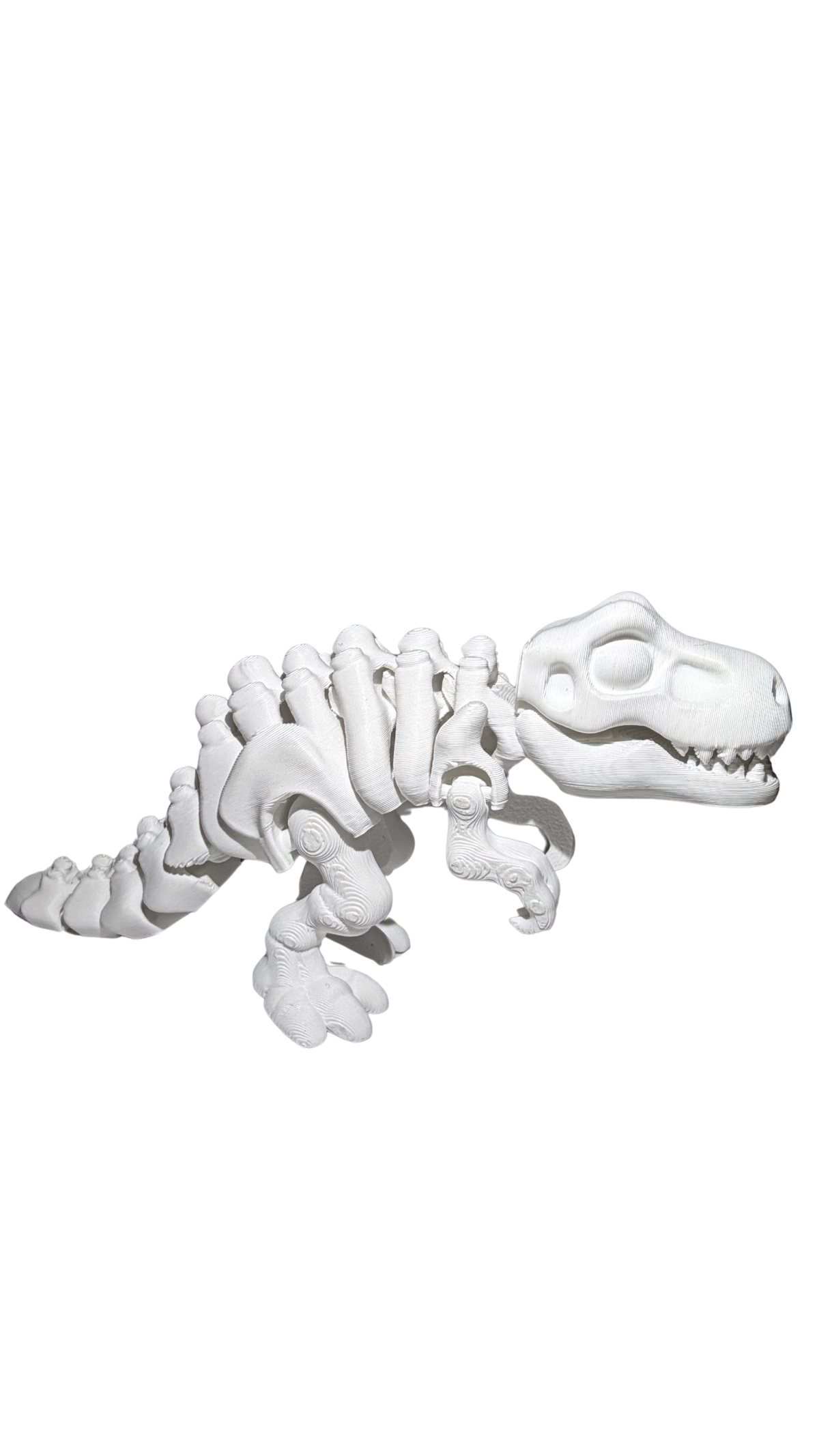 Esqueleto de T-Rex articulado impreso en 3D en acabado hueso blanco, de Tecnoprint